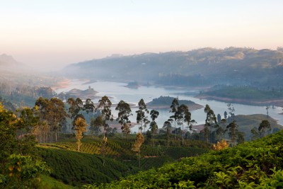 Ceylon-Tea-Trails.jpg