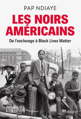 Les noirs américains de Pap Ndiaye.jpg